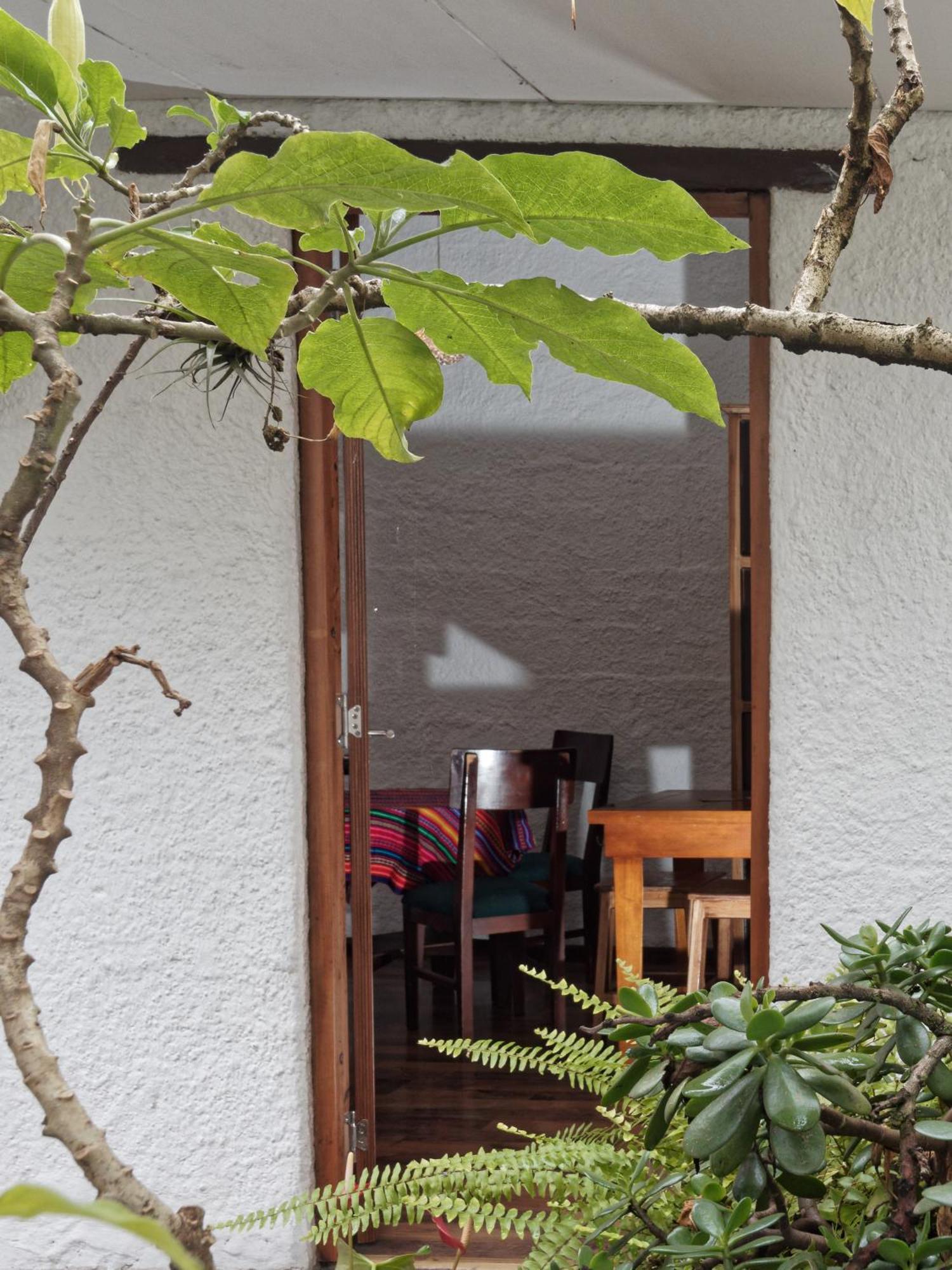 Otorongo Ecuador Aparthotel Cuenca