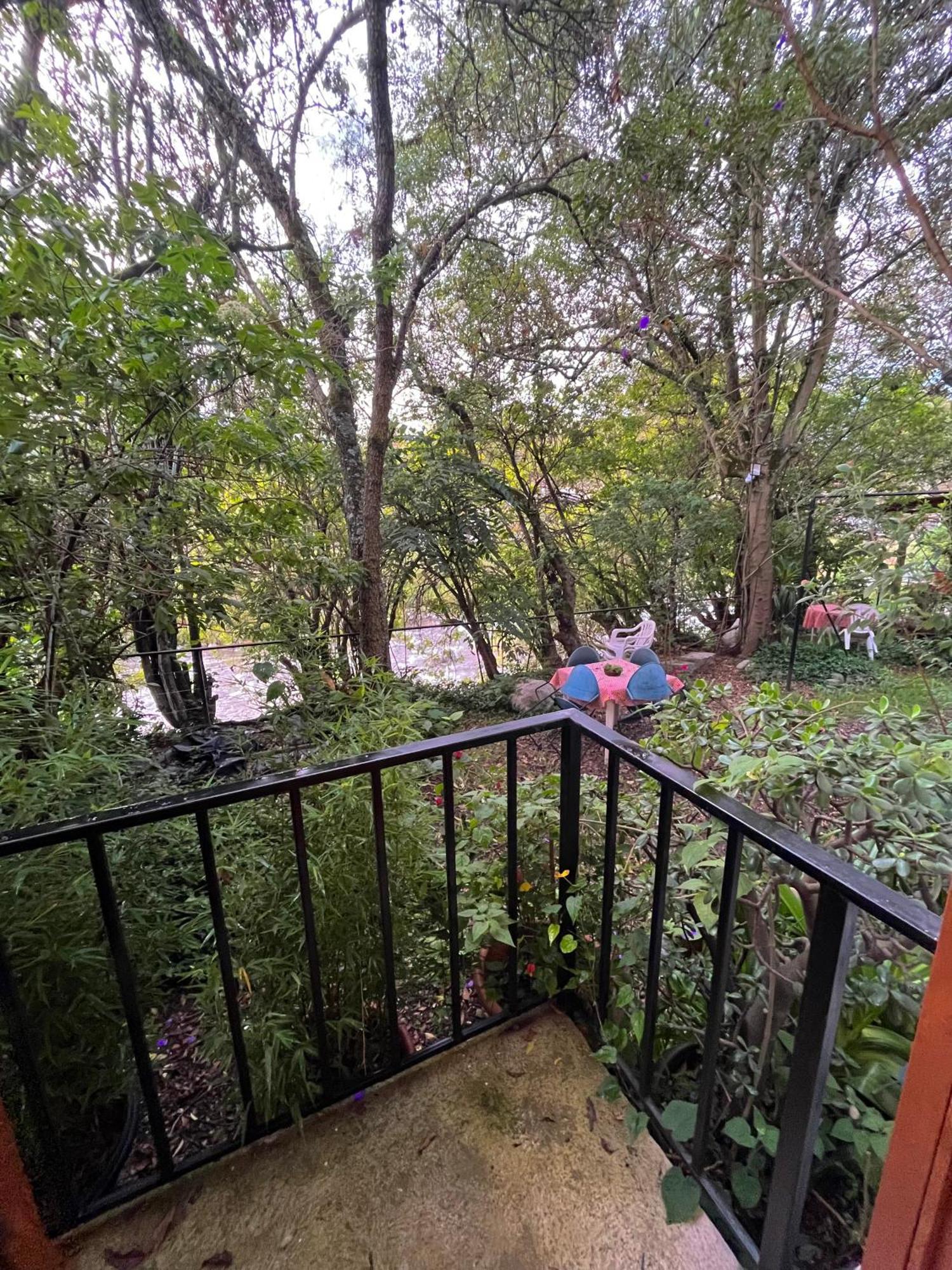 Otorongo Ecuador 2*