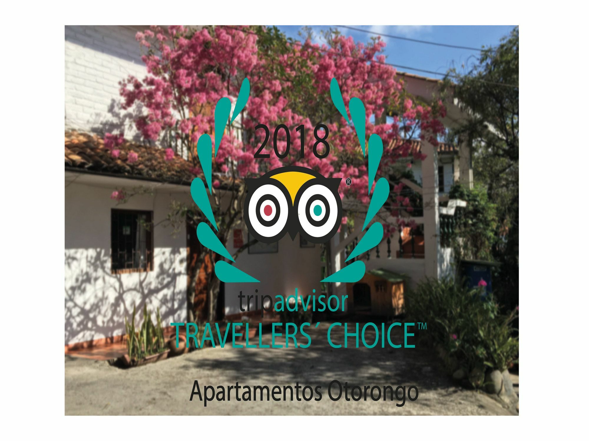Otorongo Ecuador Appart hôtel