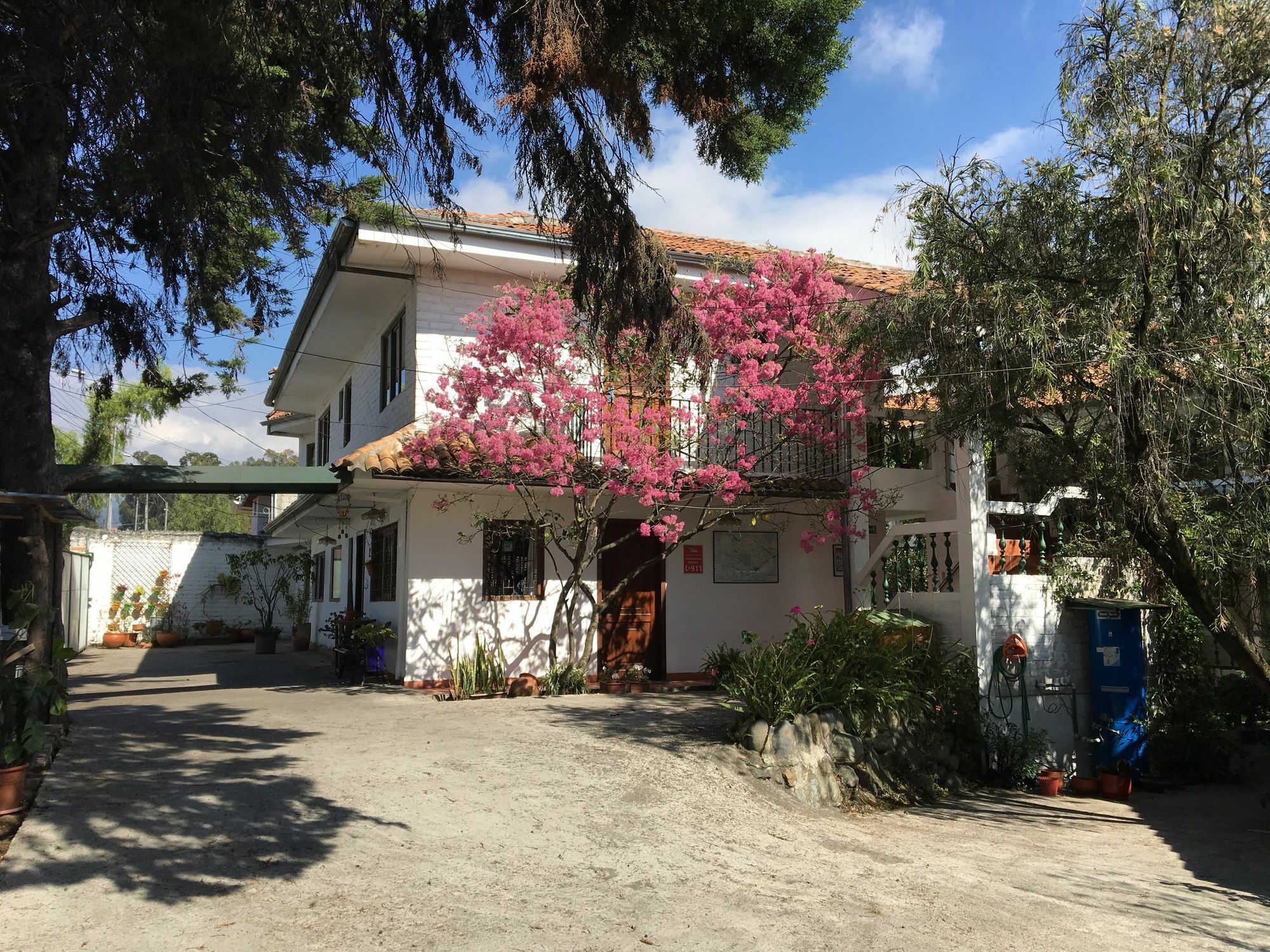 Otorongo Ecuador 2*