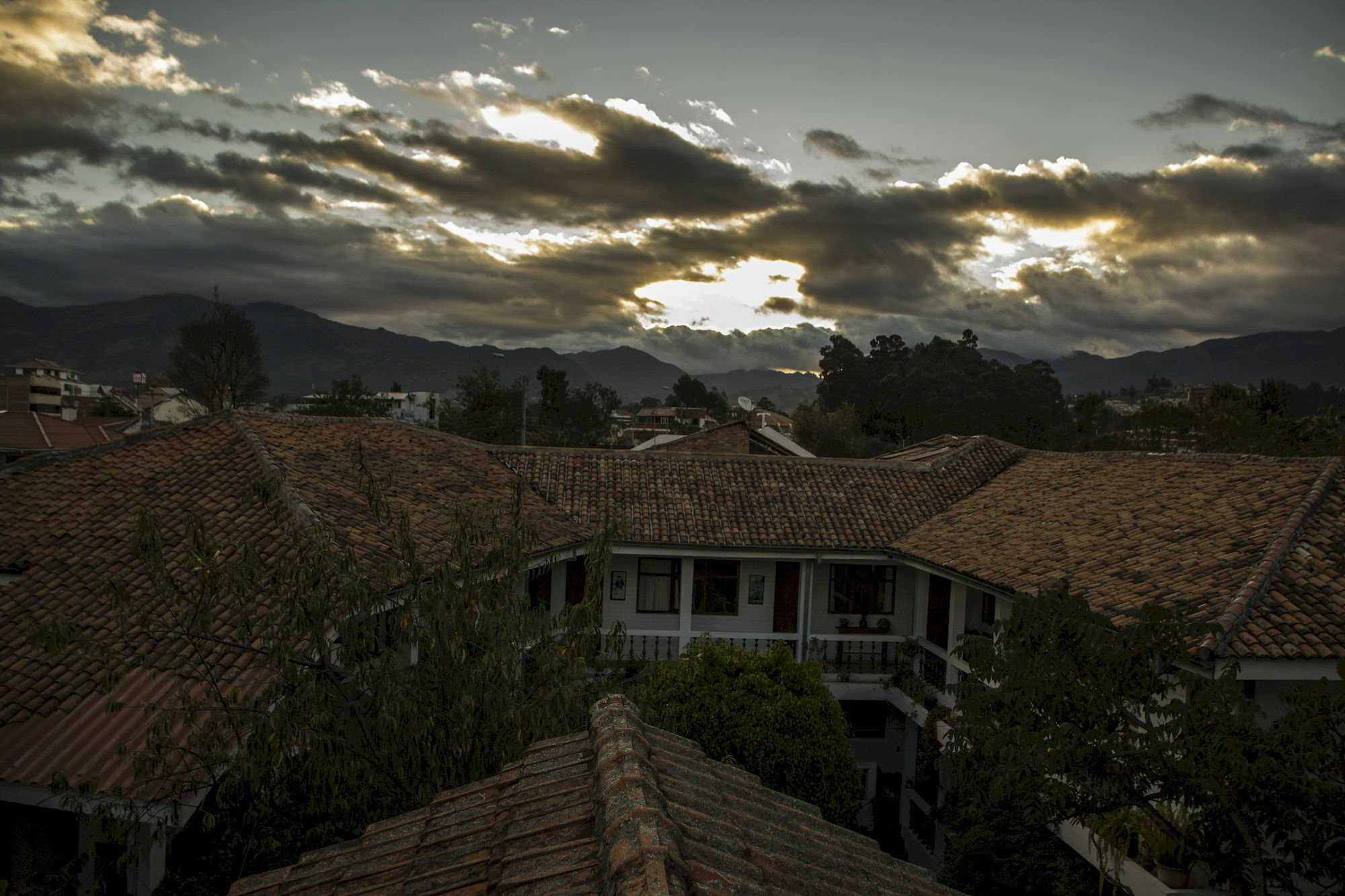 Otorongo Ecuador